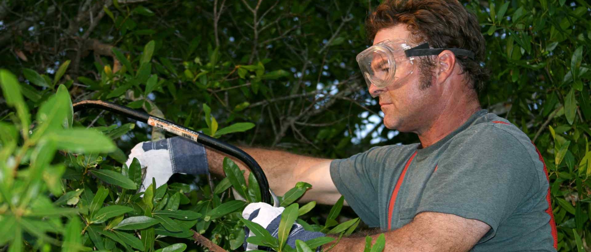 garden clearance SW3